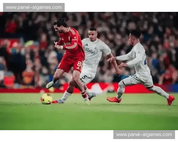 都灵遭遇严重伤病潮,多达12名球员缺阵影响球队排兵布阵 都灵遭遇严重伤病潮,多达12名球员缺阵影响球队排兵布阵