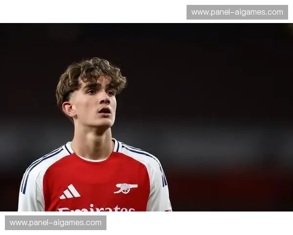 阿森纳评估梅里诺替代方案，或信任道曼挺身而出